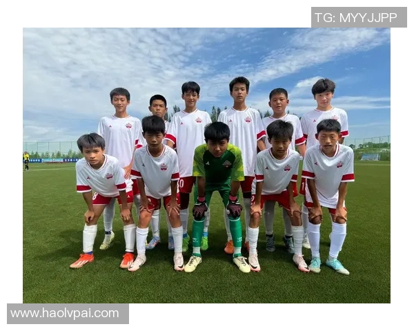 热爱国内足球明星的魅力与成就探讨